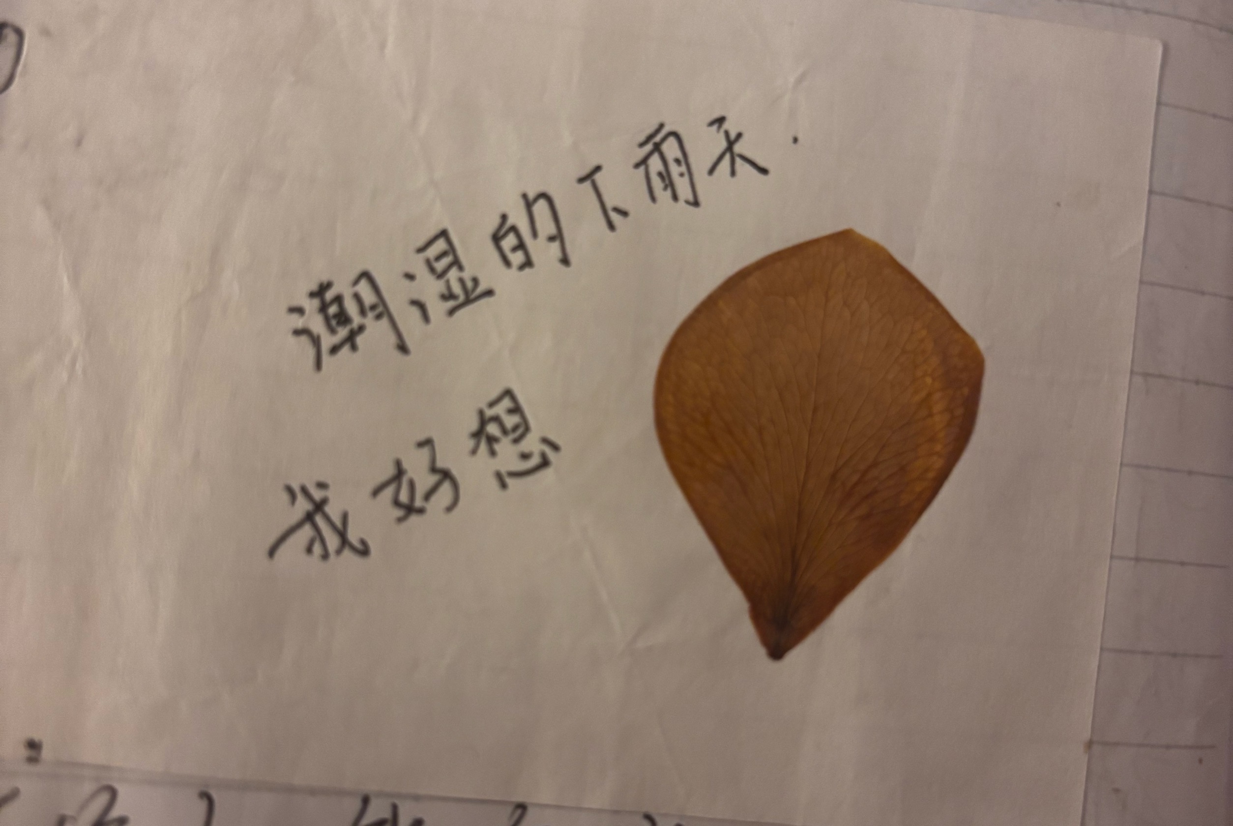 回头看